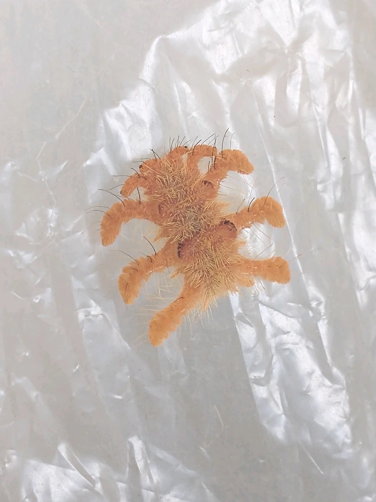 Imagem enviada por Rob