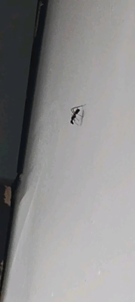 Image uploaded by Tanner