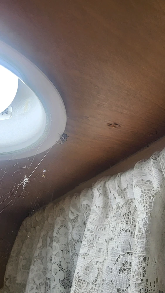 Image uploaded by Jevin