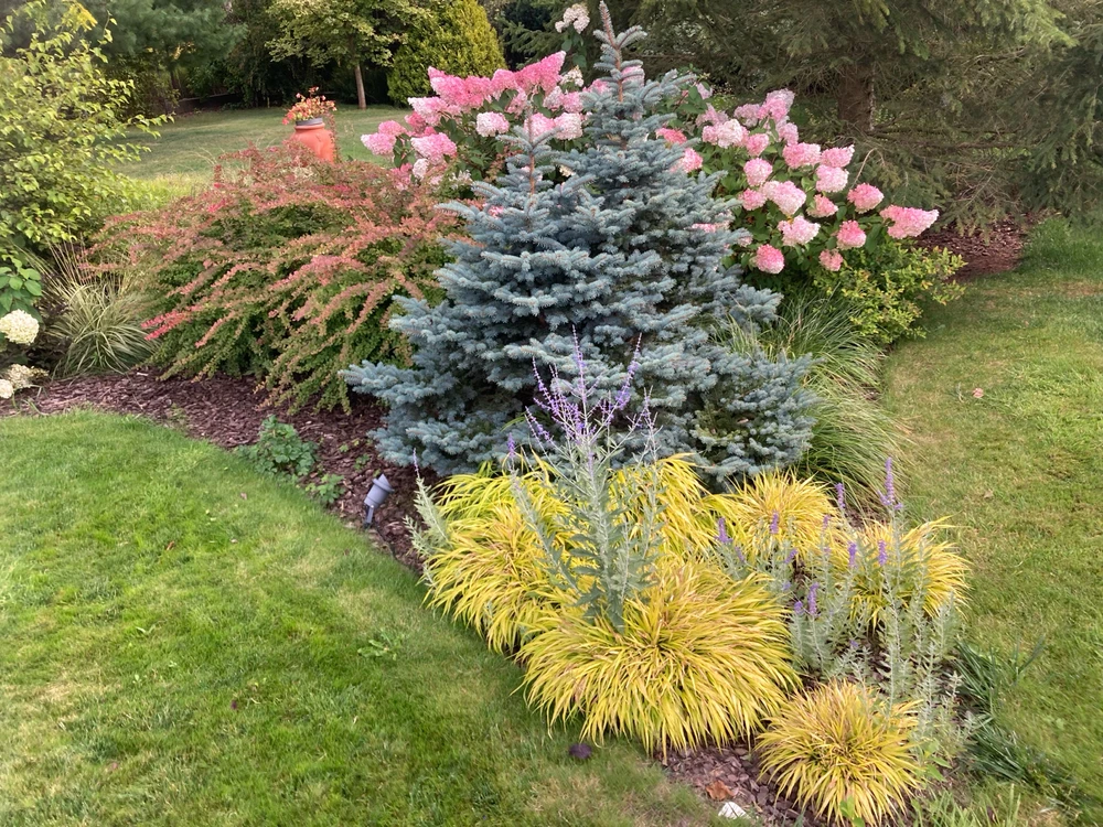 Zdjęcie dodane przez Prometheus