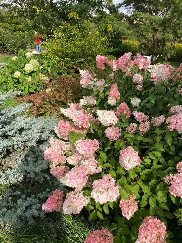 Zdjęcie dodane przez Prometheus