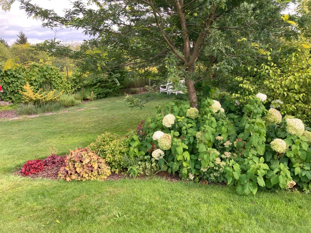 Zdjęcie dodane przez Prometheus