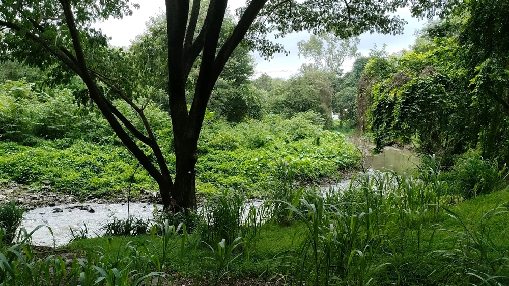 GIF uploaded by Anuj