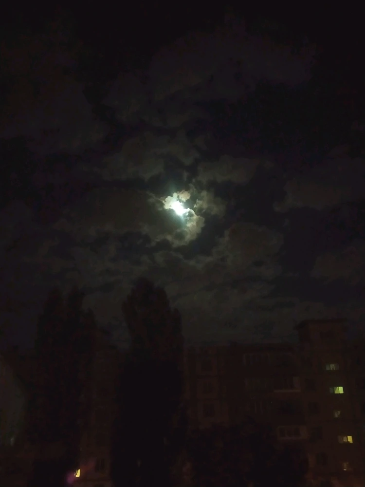 Зображення завантажив Микита