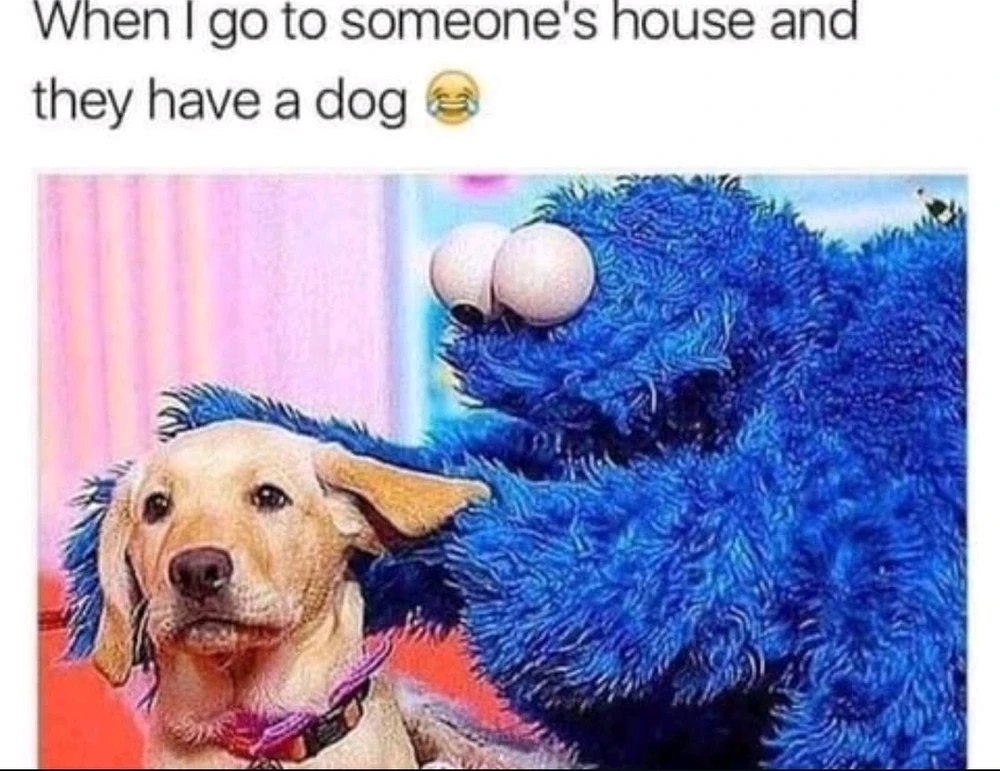 GIF hochgeladen von Kev