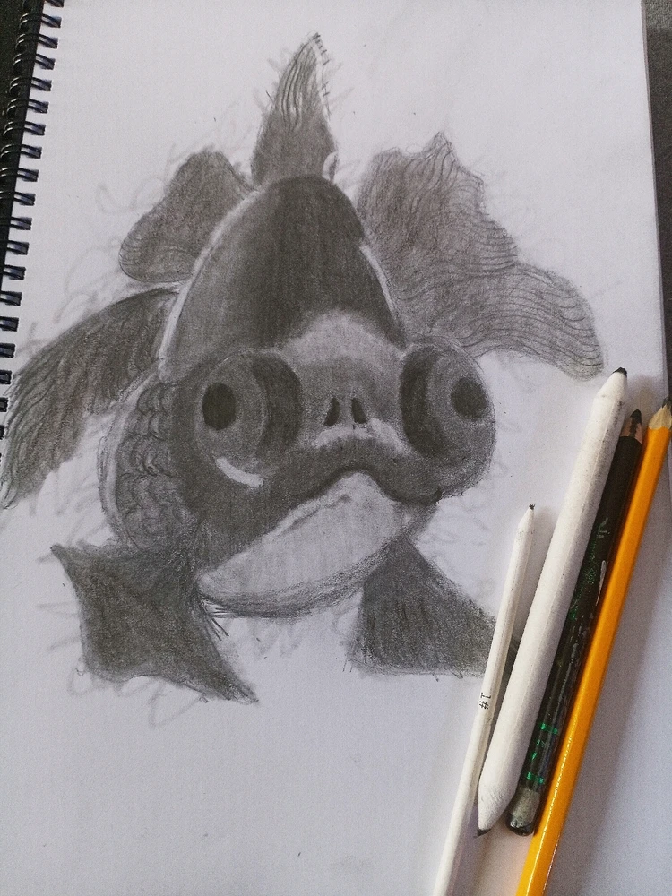 GIF uploaded by Sifiso