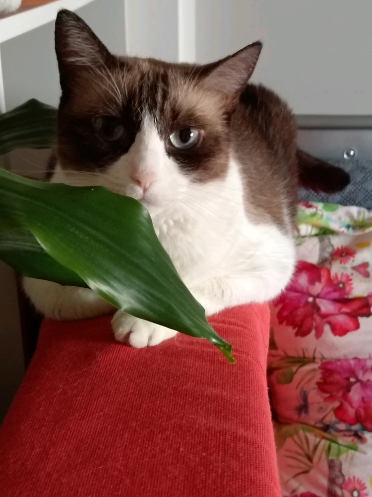 Immagine caricata da Ste