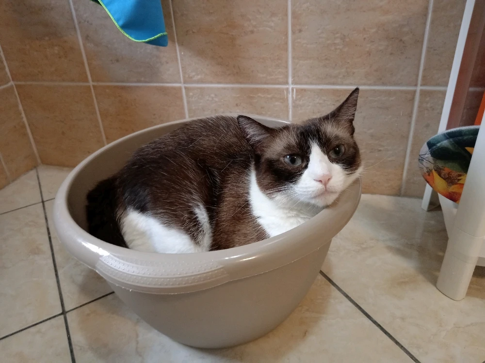 Immagine caricata da Ste