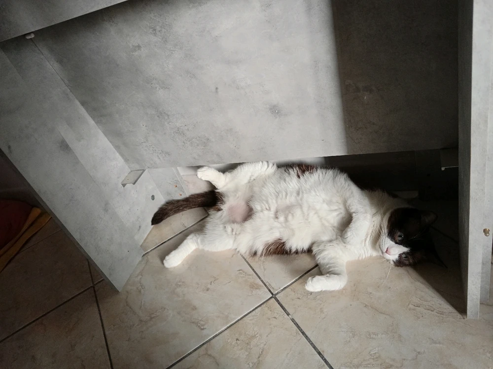 Immagine caricata da Ste