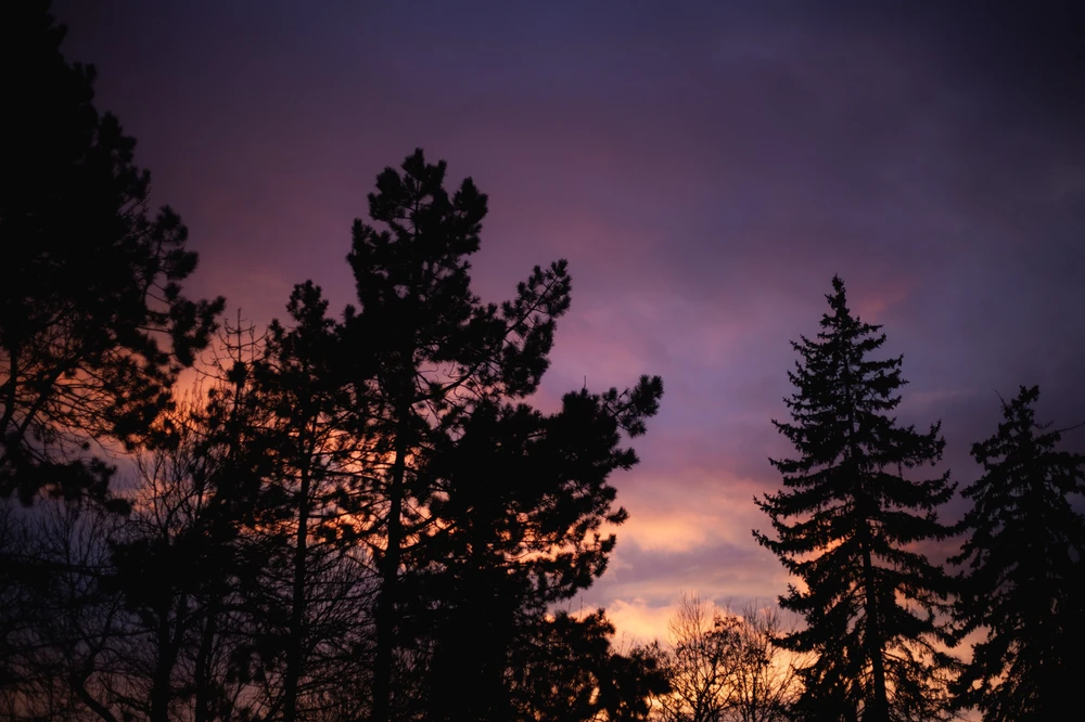 Obrázek nahrál Filip