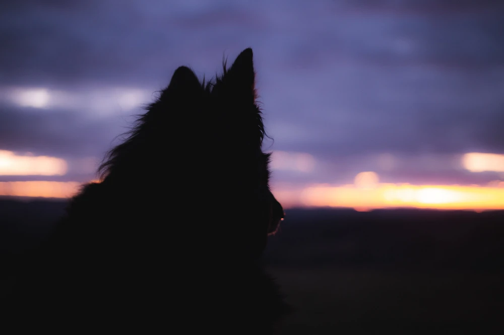 Obrázek nahrál Filip