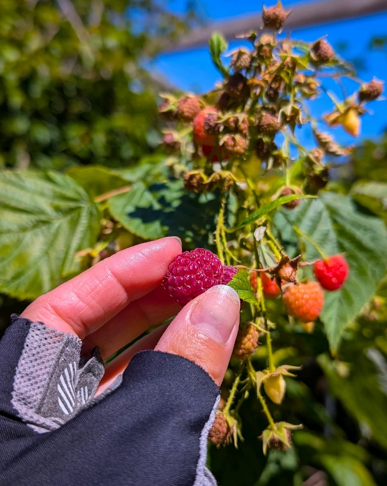 GIF uploaded by Dana