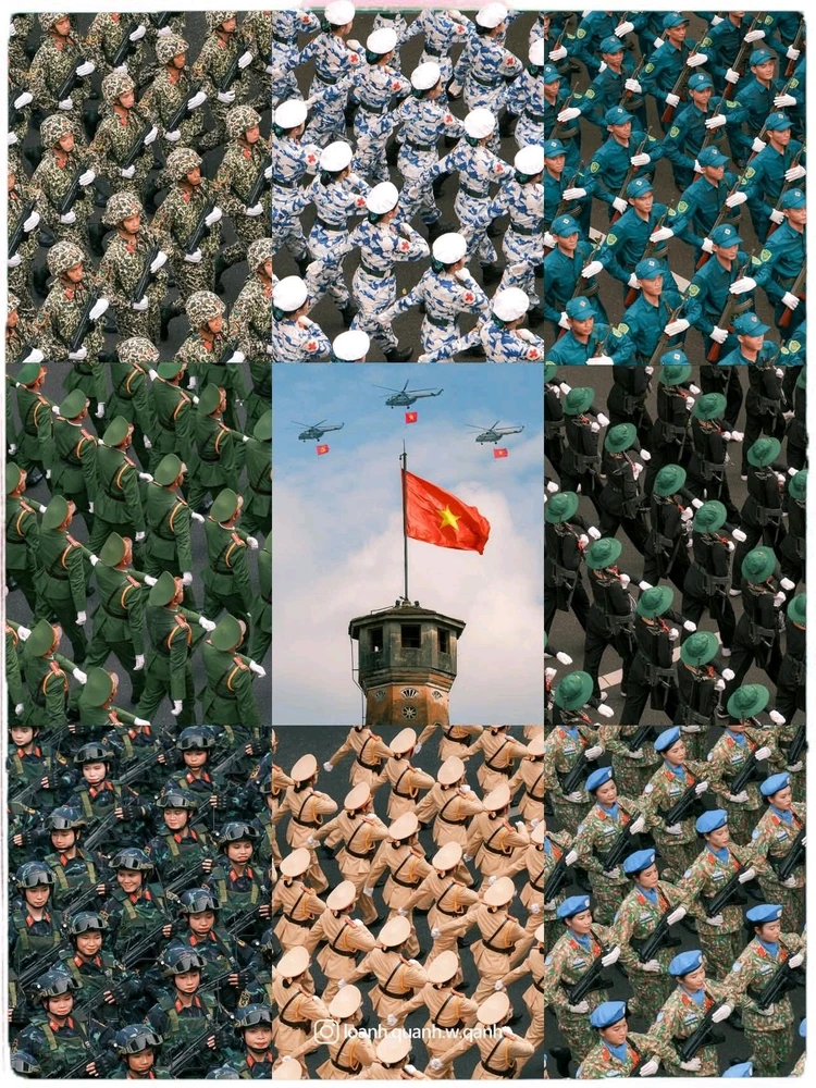 GIF uploaded by Mushroom🍄