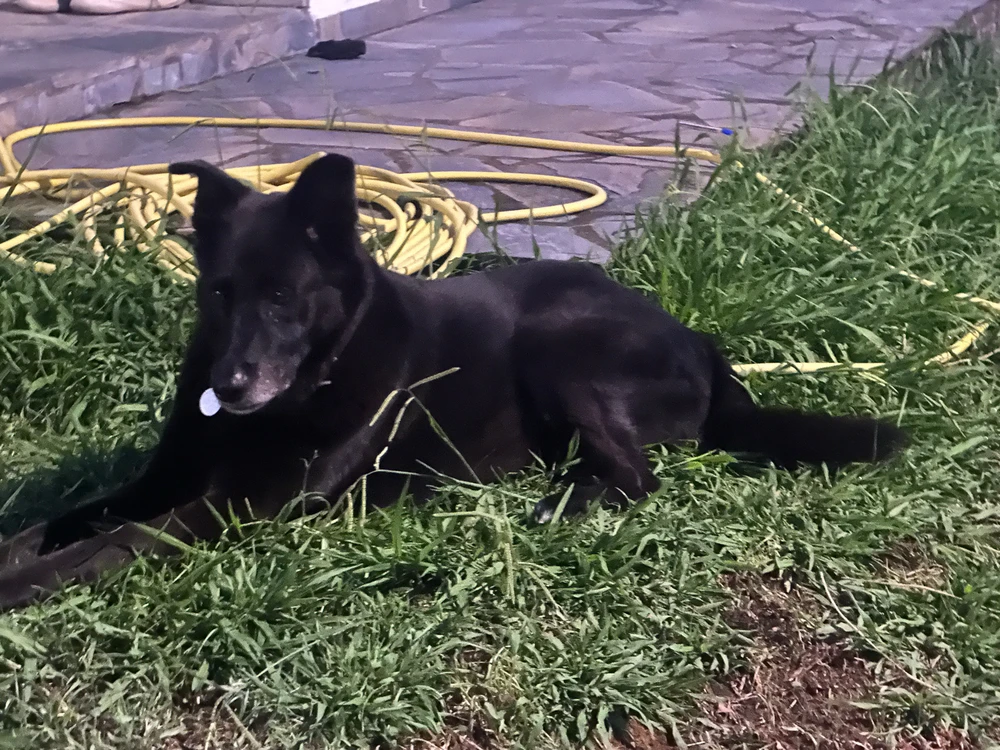 GIF ανέβηκε από George