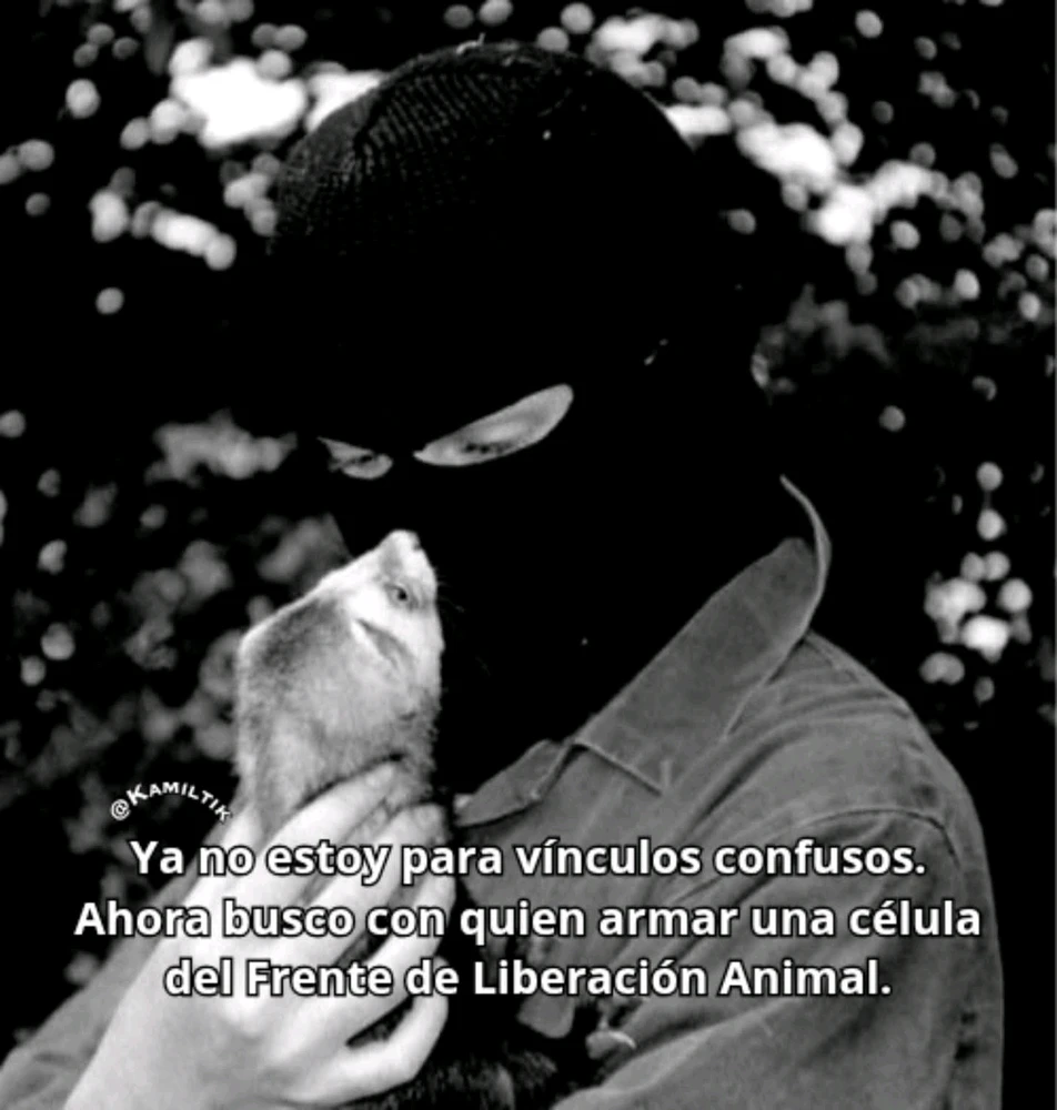 GIF subido por Juan Carlos