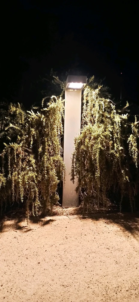 Gambar diunggah dening Gökhan