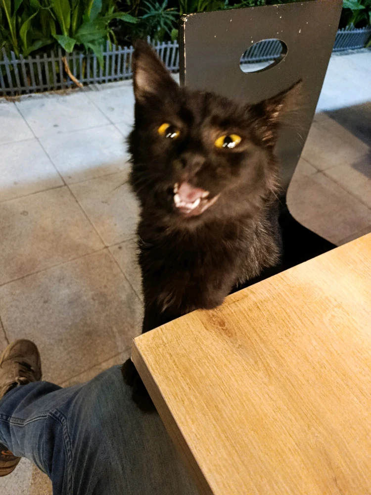 Sercan tarafından yüklenen GIF