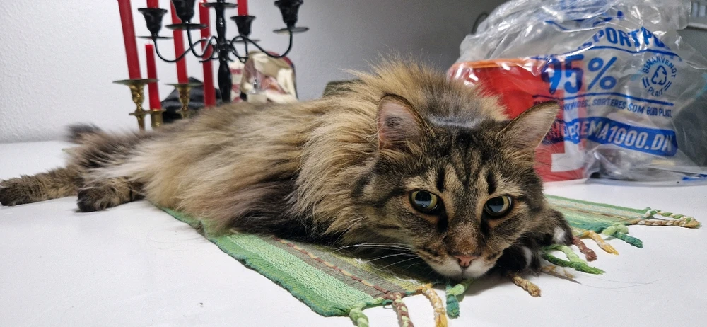 GIF uploadet af Henriette