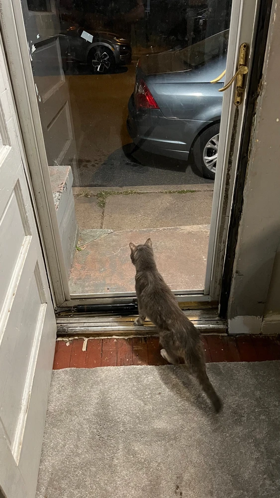 GIF uploaded by Andy