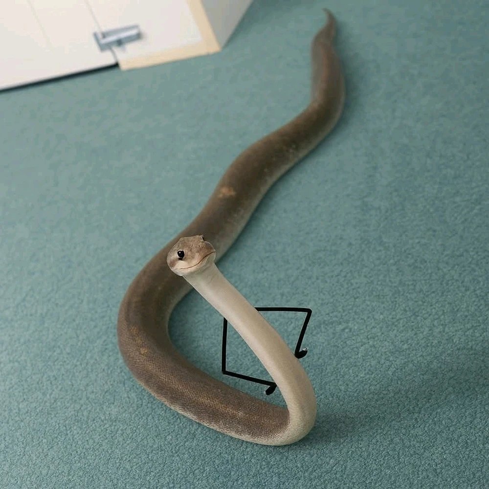 Image uploaded by Marta the Mystic