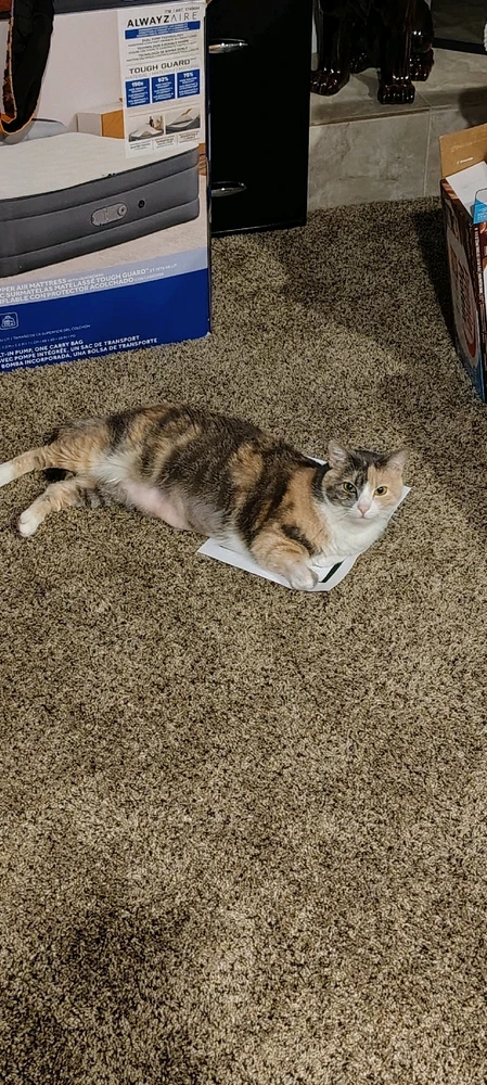 GIF uploaded by Mike