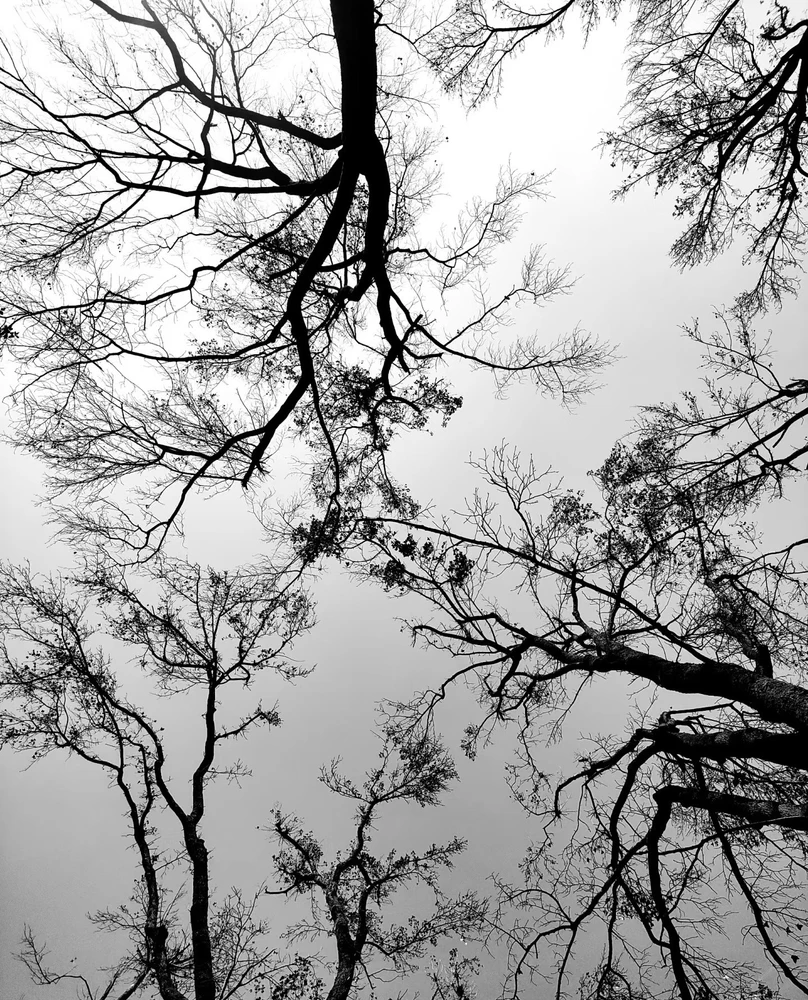 Image uploaded by Cessie