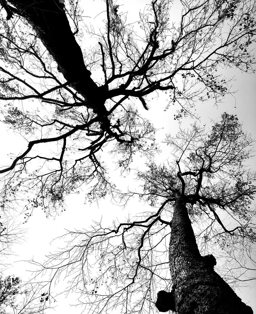 Image uploaded by Cessie