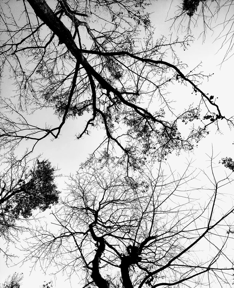 Image uploaded by Cessie