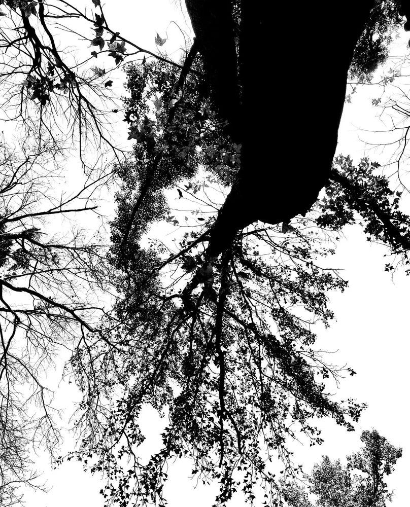 Image uploaded by Cessie