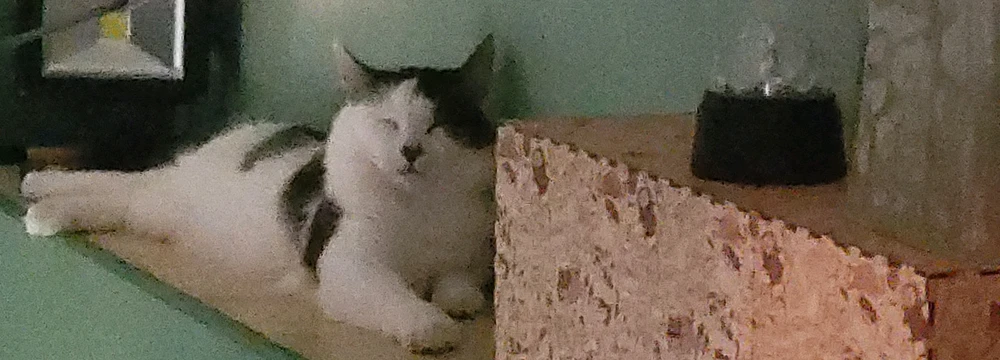 GIF geüpload door Rick