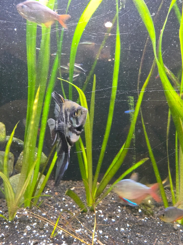 GIF uploaded by Hoick