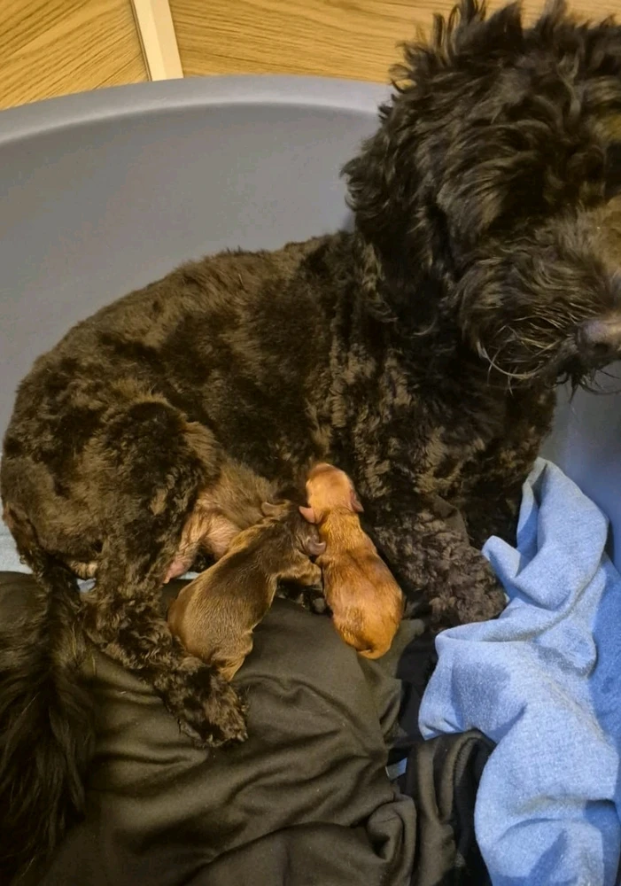 GIF uploaded by Adam