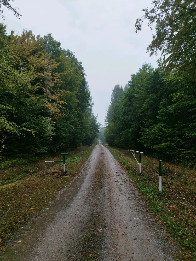 GIF dodany przez Andrzej