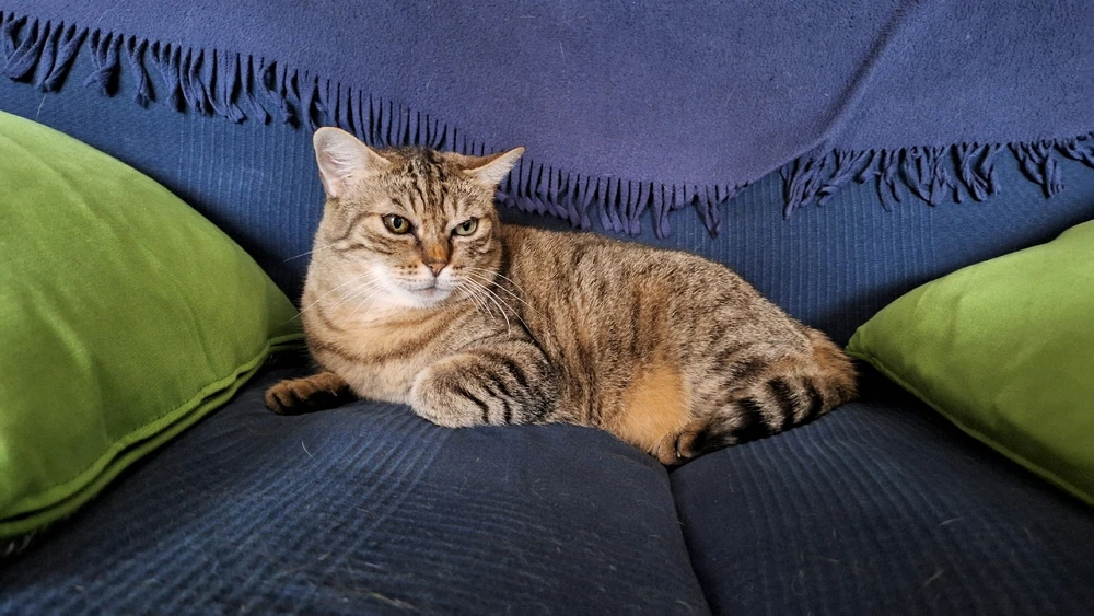 GIF caricata da Matteo