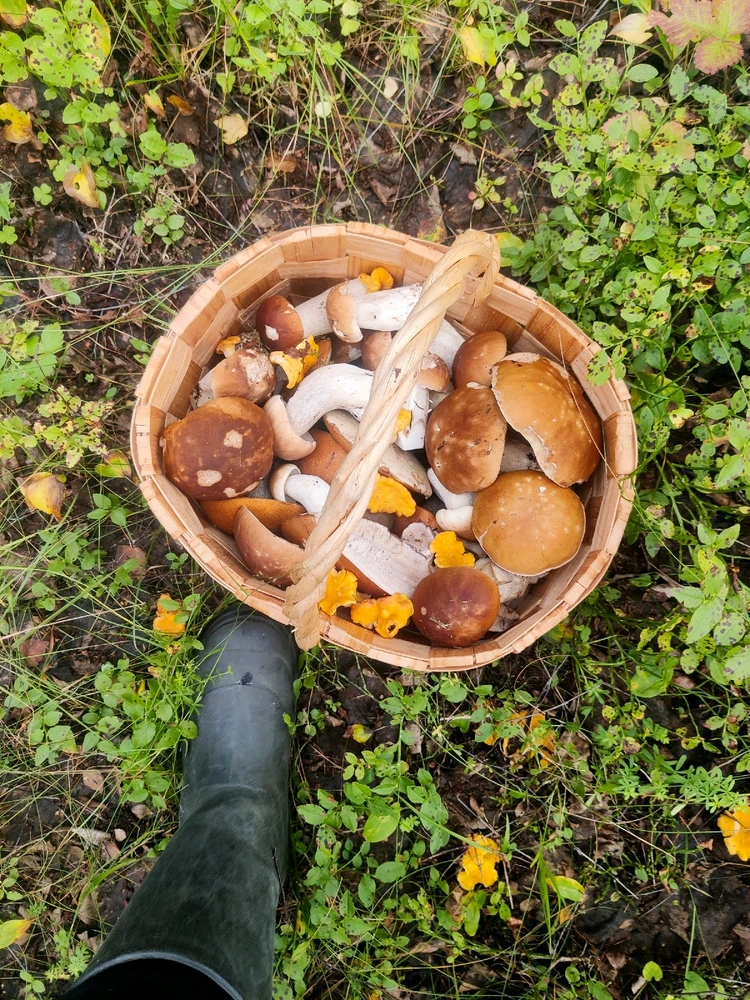 Image uploaded by Elina