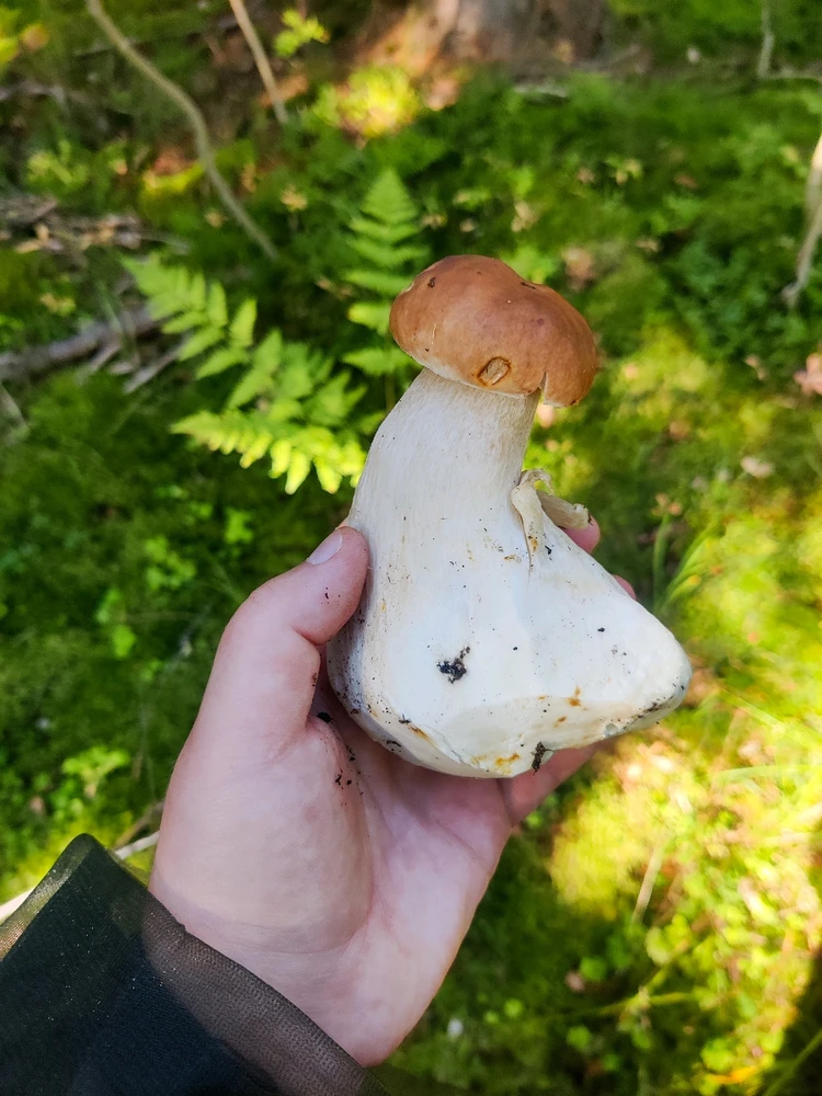 Image uploaded by Elina