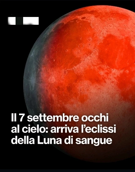 Immagine caricata da CX