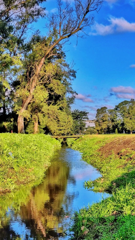 GIF subido por Dani