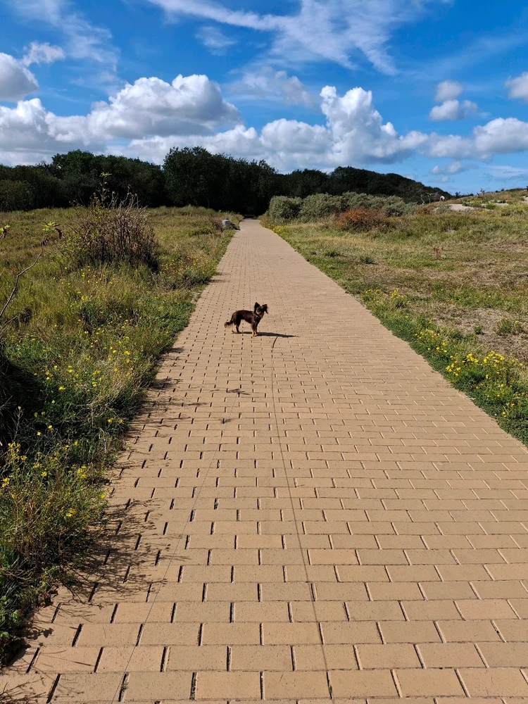 GIF geüpload door Xenia