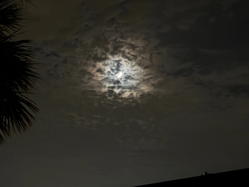 GIF uploaded by Max