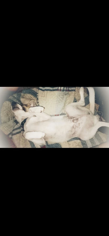 GIF được Haql tải lên