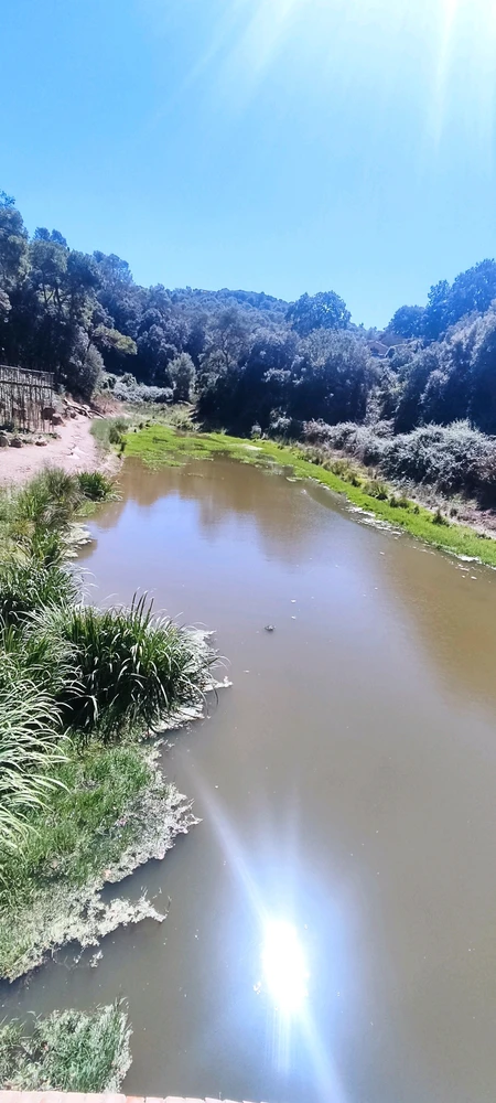 Imagen subida por Fabian