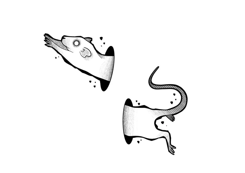 Zdjęcie dodane przez Mariusz