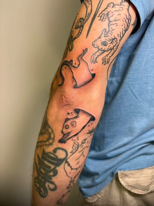 Zdjęcie dodane przez Mariusz