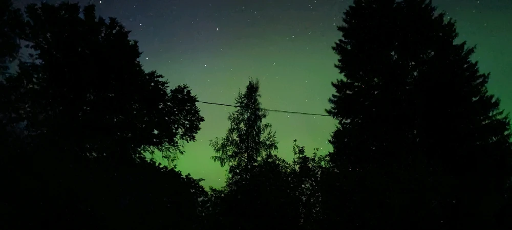 Image uploaded by Toomas