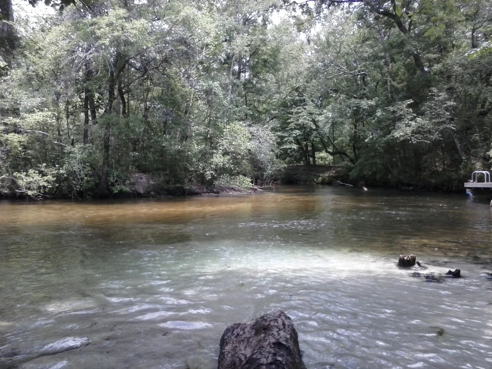 GIF diunggah dening Everette