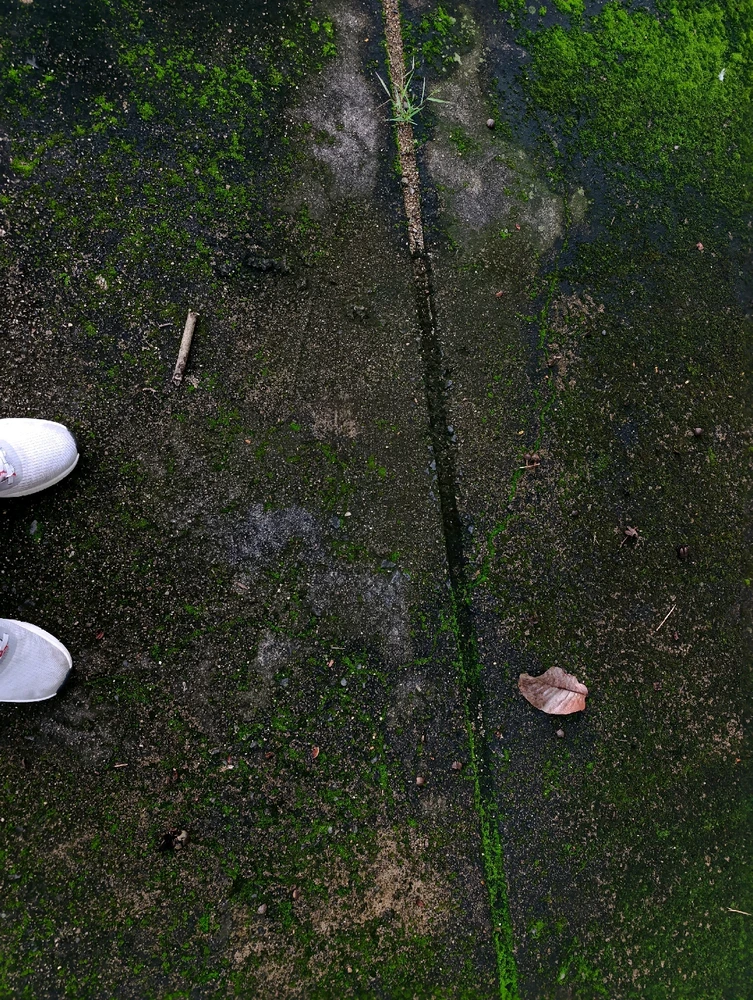 GIF uploaded by Nguyên{ Mây }