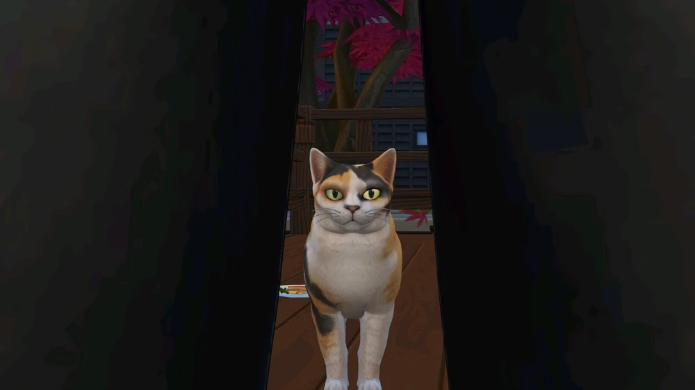 Gambar diunggah dening ria