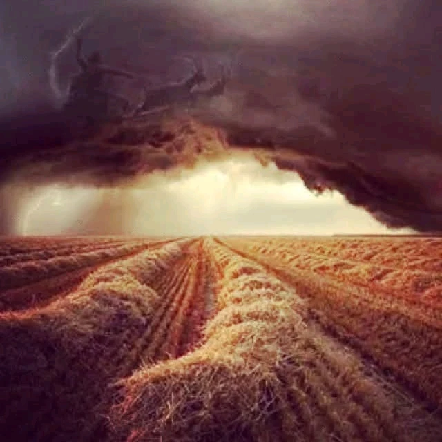 GIF subido por Isaac