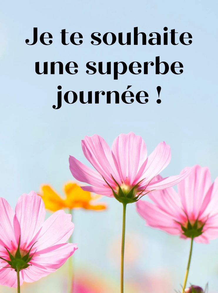 GIF ajouté par Nina